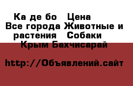 Ка де бо › Цена ­ 25 - Все города Животные и растения » Собаки   . Крым,Бахчисарай